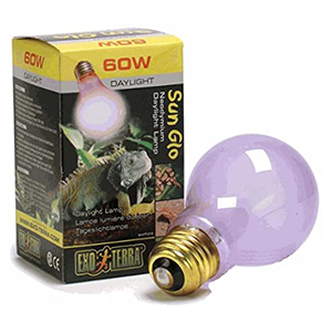 Reptile Terrarium Lighting